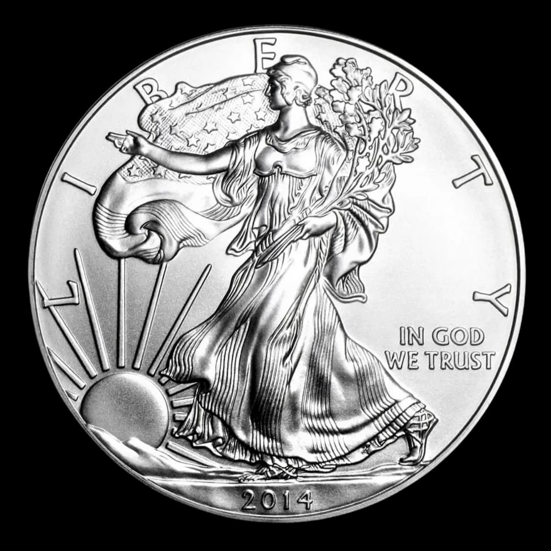 1oz 2014 American Eagle Silver Coin (20 pieces)